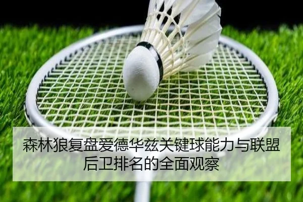 森林狼复盘爱德华兹关键球能力与联盟后卫排名的全面观察