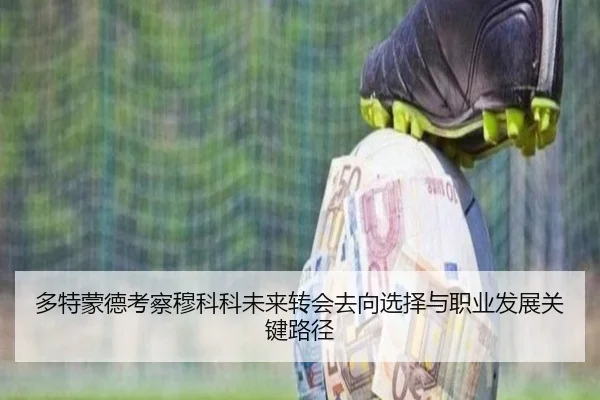 多特蒙德考察穆科科未来转会去向选择与职业发展关键路径